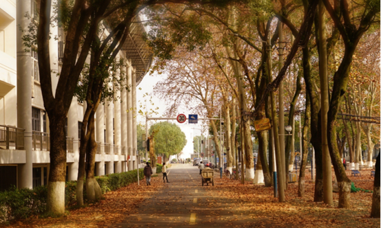 说明: //rcb.betvictorweide.com/__local/F/DC/AD/26AAF68465C39908E951504ECA2_E70C2E5D_119062.png